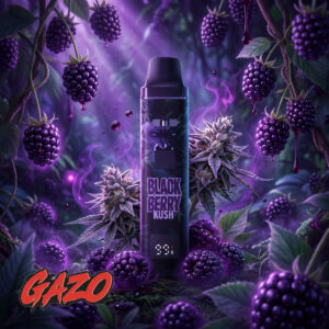 GAZO PRO VAPE – H3BTA Vapes – 1ml CRD