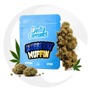 Only Grams Blüten 40% Superior Blend 1g Blueberry Muffin Großhandel Shisha Vape Produkt Verpackung